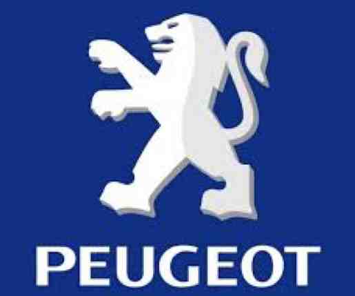 Barre de toit pour Peugeot
