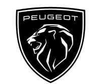 Chaussette pneu neige pour Peugeot